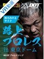 VRプロレス DDT路上プロレスin東京ドー...