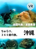 【VR】ちゅらり、360度の旅。@座間味島・渡嘉敷島