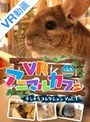 【VR】VRアニマルカフェfuleca チンチラコレクション Vol.1