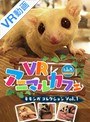 【VR】VRアニマルカフェfuleca モモンガコレクション Vol.1