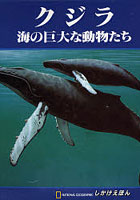 クジラ 海の巨大な動物たち
