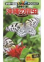 沖縄の昆虫
