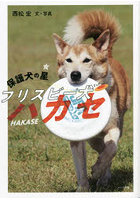 保護犬の星フリスビー犬（ドッグ）ハカセ