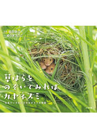 草はらをのぞいてみればカヤネズミ 日本でいちばん小さなネズミの物語