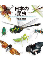 日本の昆虫 THE MUSEUM OF JAPANESE INSECTS