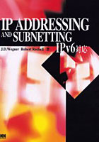 IP ADDRESSING AND SUBNETTING IPv6対応
