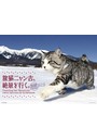 旅猫ニャン吉、絶景を行く。 2018年カレンダー
