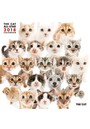 THE CAT ALL-STAR 2018年カレンダー