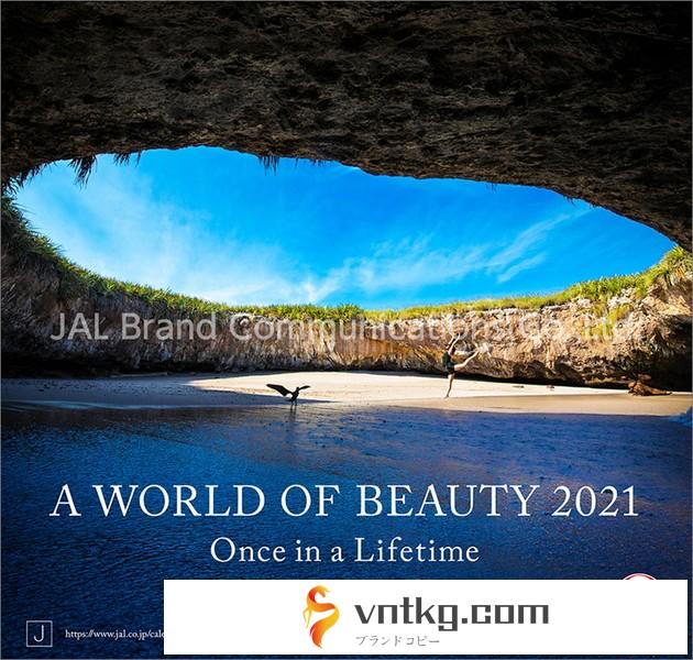 JAL「A WORLD OF BEAUTY」 2021年カレンダー