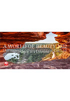 卓上 JAL「A WORLD OF BEAUTY」 2022年カレンダー