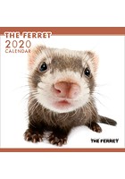 THE FERRET 2020年カレンダー