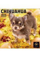 チワワ 2024年カレンダー