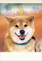 柴犬まるとおさんぽ 2024年カレンダー