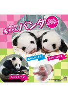 上野動物園赤ちゃんパンダ 2022年カレンダー