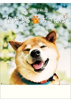 柴犬まるとおさんぽ 2020年カレンダー