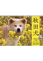 秋田犬 2020年カレンダー