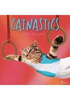 器械体操猫（輸入版） 2020年カレンダー