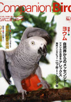 Companion Bird 8