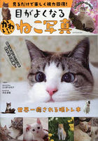 目がよくなるかわいいねこ写真 見るだけで楽しく視力回復！