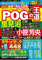 POGの王道 ペーパーオーナーゲーム徹底攻略ガイド 2023～2024年版