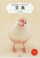 文鳥 育て方、食べ物、接し方、病気のことがすぐわかる！ はじめての飼育にこの一冊