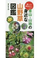 持って歩きたい里山・山地の身近な山野草図鑑