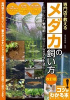 専門店が教えるメダカの飼い方 失敗しない繁殖術から魅せるレイアウト法まで