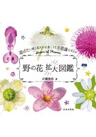 野の花拡大図鑑 道ばたに咲く花たちの美しくて不思議なカタチ