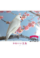 ミニカレンダー ’23 かわいい文鳥