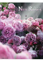 New Roses 32 SPECIA