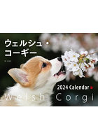 ワイドカレンダー ’24 ウェルシュ・コ