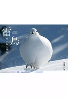 ’24 雷鳥 神の鳥の四季カレンダー