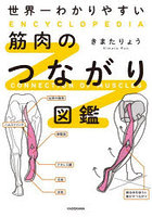 世界一わかりやすい筋肉のつながり図鑑