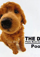 THE DOG Photo Book Collection Poodle