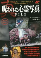 真・呪われた心霊写真FILE