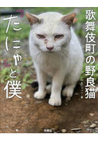 歌舞伎町の野良猫『たにゃ』と僕