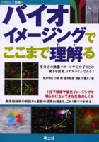 バイオイメージングでここまで理解（わか）る 多分子の動態パターンや1分子ごとの動きを蛍光，リアルタ...