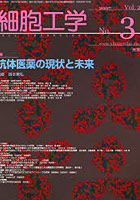 細胞工学 Vol.26No.3（2007）