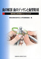 歯の解剖歯のデッサンと歯型彫刻 歯科技工学実習トレーニング