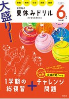 大盛り！夏休みドリル 算数 理科 社会 英語 国語 小学6年生