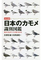 日本のカモメ識別図鑑 決定版 見分けるポイントが良くわかる