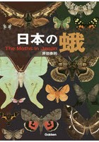 日本の蛾