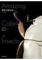 驚異の標本箱-昆虫-