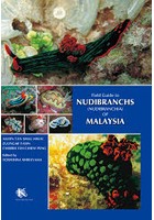 Field Guide to NUDIBRANCHS〈NUDIBRANCHIA〉OF MALAYSIA