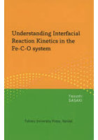 Understanding Interfacial Reaction Kinetics in the Fe‐C-O system