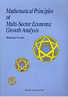 Mathematical Principles of Multi‐Sector Economic Growth Analysis