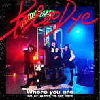 Where you are feat. LITTLE（KICK THE CAN CREW）/BlooDye
