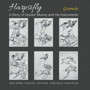 Harpsifly-ゴードン・マレーと彼の楽器の物語