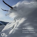 ハイドン交響曲全曲録音シリーズ Vol.13（輸入盤国内仕様）