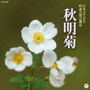 2019年度（平成31年度）（第55回） 日本コロムビア全国吟詠コンクール課題吟 秋明菊